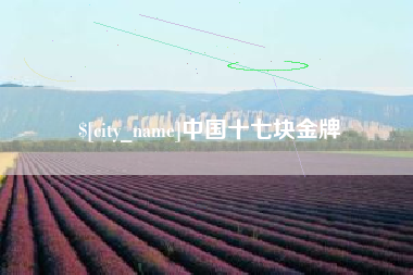 平顶山中国十七块金牌