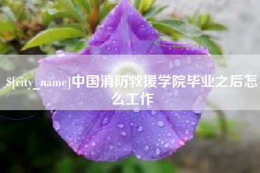 平顶山中国消防救援学院毕业之后怎么工作