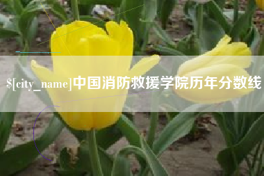 平顶山中国消防救援学院历年分数线