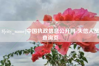 平顶山中国执政信息公开网-失信人员查询页