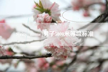 平顶山男子5000米等级标准