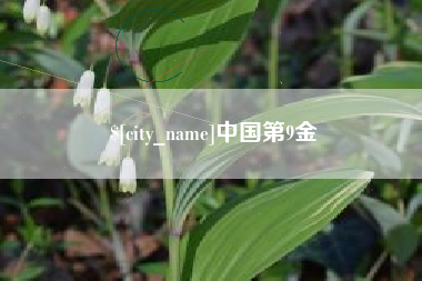 平顶山中国第9金