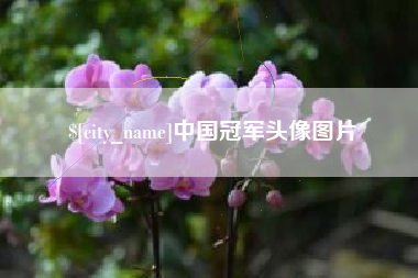 平顶山中国冠军头像图片
