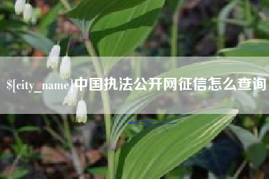 平顶山中国执法公开网征信怎么查询