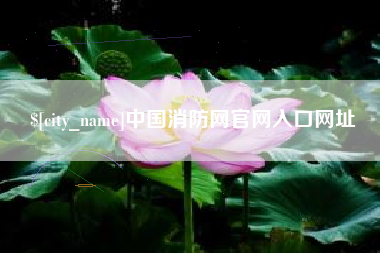 平顶山中国消防网官网入口网址