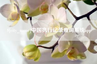 平顶山中国执行记录查询系统app