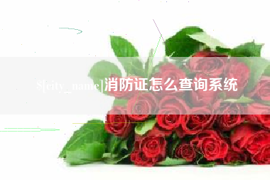 平顶山消防证怎么查询系统