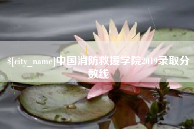 平顶山中国消防救援学院2019录取分数线