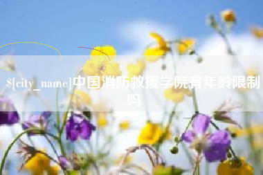 平顶山中国消防救援学院有年龄限制吗