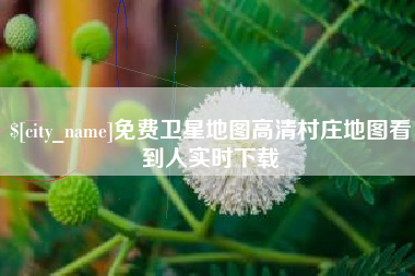 平顶山免费卫星地图高清村庄地图看到人实时下载