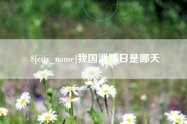 平顶山我国消防日是哪天
