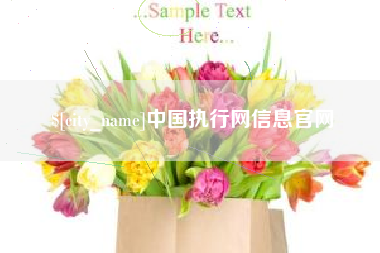 平顶山中国执行网信息官网