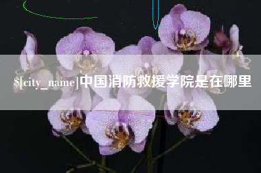 平顶山中国消防救援学院是在哪里