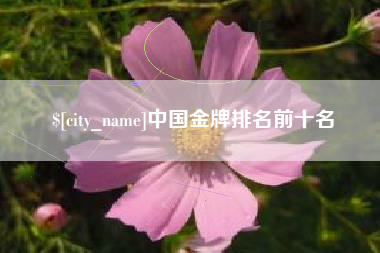 平顶山中国金牌排名前十名