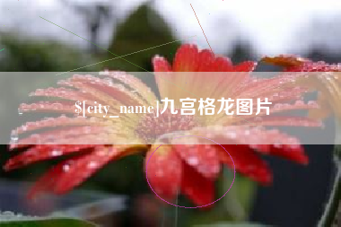 平顶山九宫格龙图片