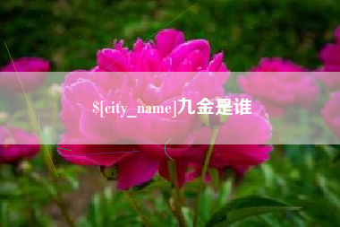平顶山九金是谁