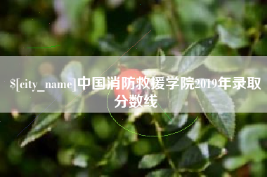 平顶山中国消防救援学院2019年录取分数线