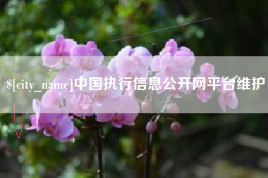 平顶山中国执行信息公开网平台维护