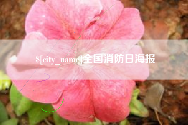 平顶山全国消防日海报
