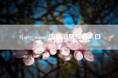平顶山国家消防报名入口