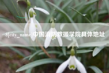 平顶山中国消防救援学院具体地址