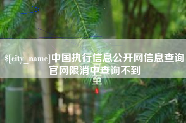 平顶山中国执行信息公开网信息查询官网限消中查询不到
