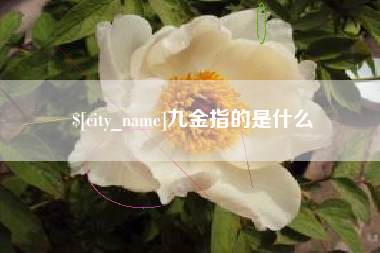 平顶山九金指的是什么