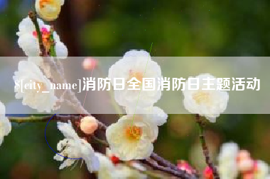 平顶山消防日全国消防日主题活动