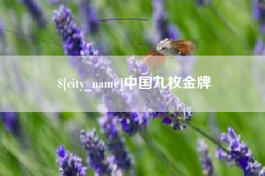 平顶山中国九枚金牌
