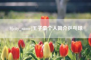平顶山王子豪个人简介乒乓球