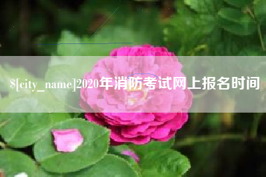 平顶山2020年消防考试网上报名时间