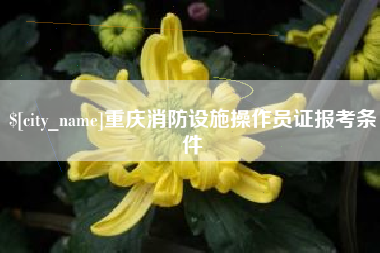平顶山重庆消防设施操作员证报考条件