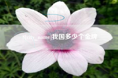 平顶山我国多少个金牌