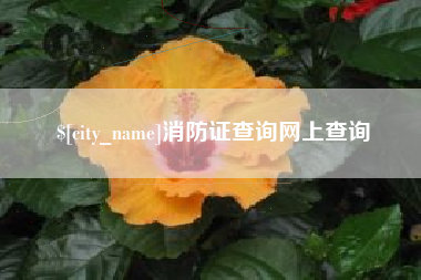 平顶山消防证查询网上查询