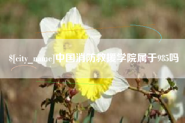 平顶山中国消防救援学院属于985吗
