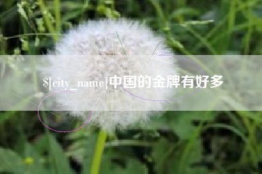 平顶山中国的金牌有好多