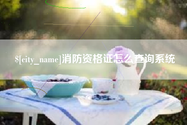 平顶山消防资格证怎么查询系统