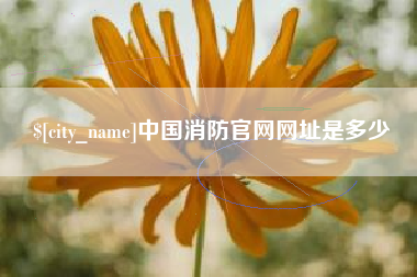 平顶山中国消防官网网址是多少