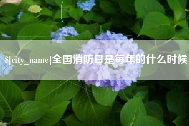 平顶山全国消防日是每年的什么时候