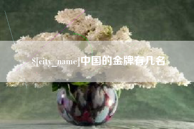 平顶山中国的金牌有几名