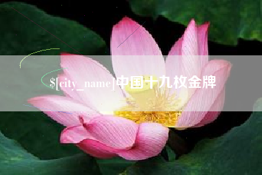 平顶山中国十九枚金牌