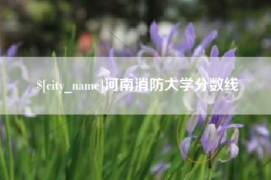 平顶山河南消防大学分数线