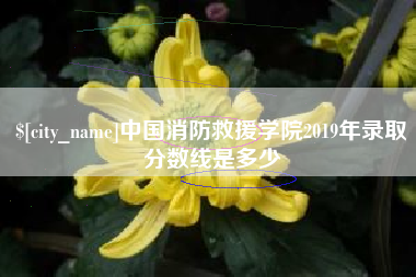 平顶山中国消防救援学院2019年录取分数线是多少