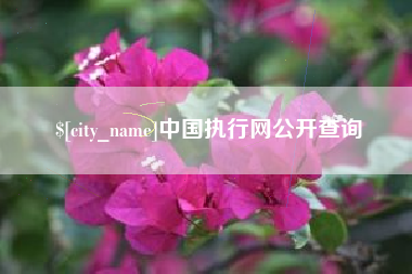 平顶山中国执行网公开查询