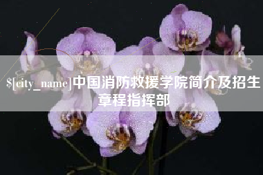 平顶山中国消防救援学院简介及招生章程指挥部