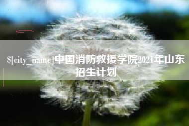 平顶山中国消防救援学院2021年山东招生计划