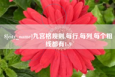 平顶山九宫格规则,每行,每列,每个粗线都有1-9