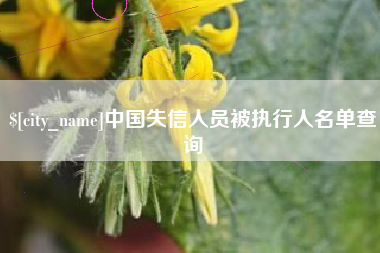 平顶山中国失信人员被执行人名单查询