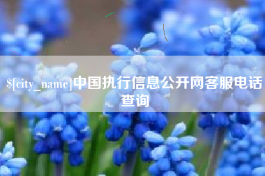 平顶山中国执行信息公开网客服电话查询