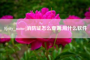 平顶山消防证怎么查询,用什么软件